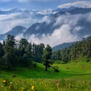 On Top in Guptkashi – Triyuginarayan – Panwali Kantha Trek