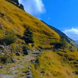 Way to Madmaheshwar Temple