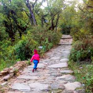 Triyuginarayan to Panwali Kantha Way