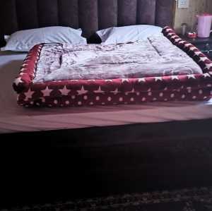 Hotels in Chopta