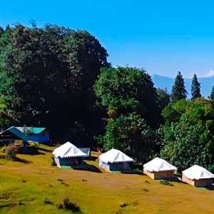 Camps in Chopta