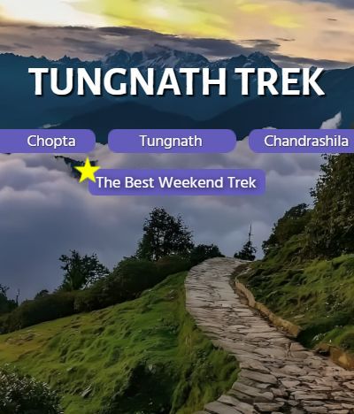 Chopta Tungnath Chandrashila Trek: A Himalayan Weekend Adventure