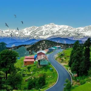 Chopta - The Mini Switzerland