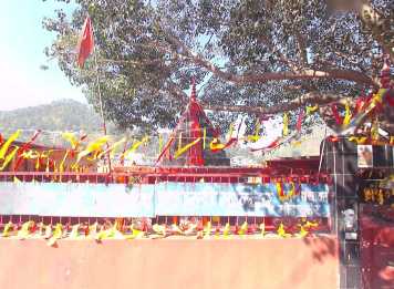 Kali Mata Temple Tilwara