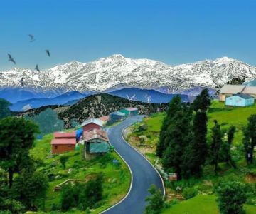 Chopta - Enroute Chardham Yatra