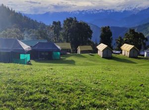 Chopta New Year 2026 Event Picture: Camps